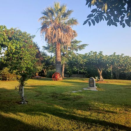 Apartments Karpetis A Green Paradise Psakoudia Exterior foto