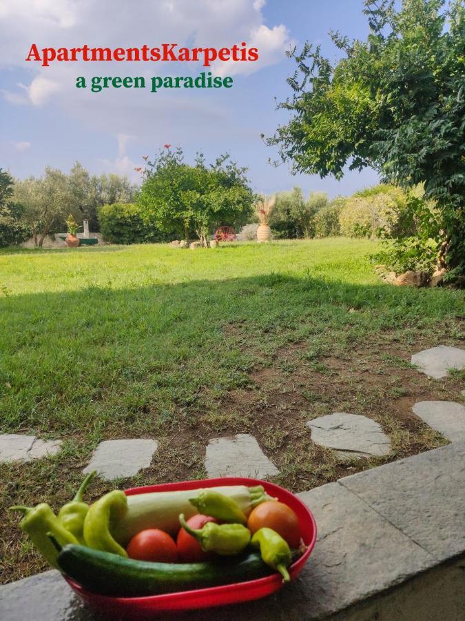 Apartments Karpetis A Green Paradise Psakoudia Exterior foto